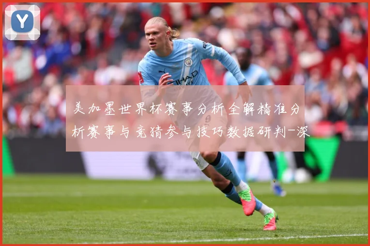 美加墨世界杯赛事分析全解精准分析赛事与竞猜参与技巧数据研判-深度解析